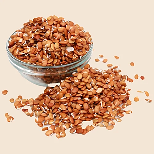 10000358 12 fresho sprouts horse gram 10000358 12 fresho sprouts horse gram