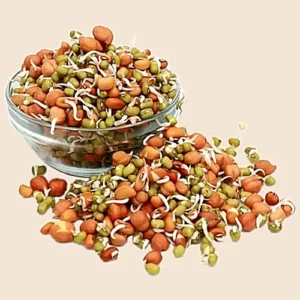 30001112 12 fresho sprouts mixed gram